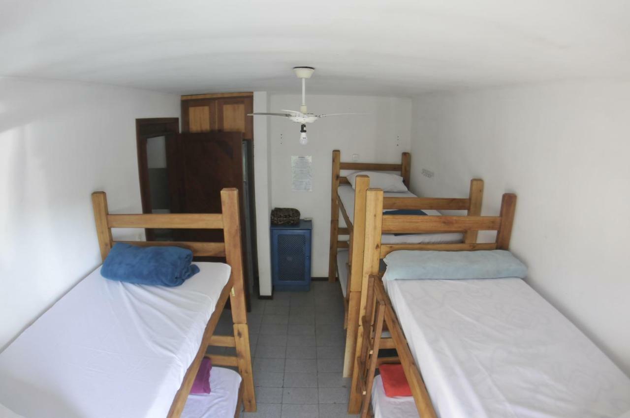 Gokai Hostel Florianópolis Εξωτερικό φωτογραφία